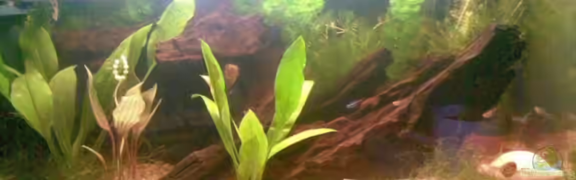 Becken 8572 von Andy_L