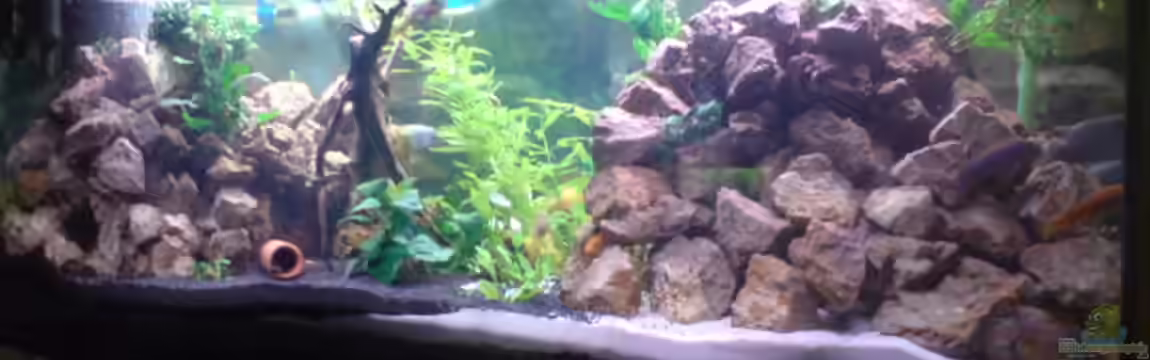 Becken 8591 von Ronny Eisenberg