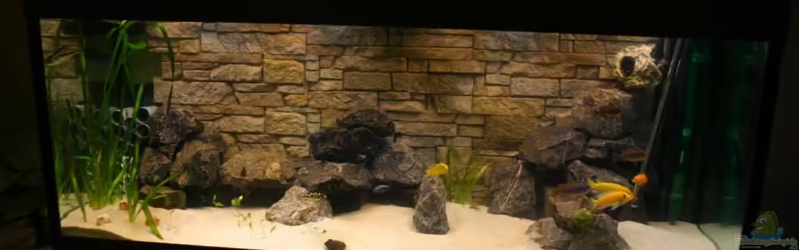 Becken 862 von Dark Holzhausen