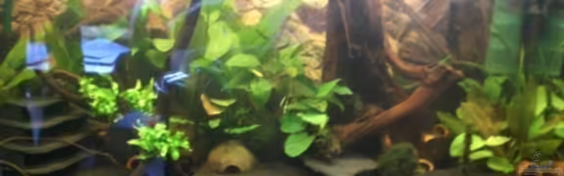 Becken 8663 von Thorsten Plaster