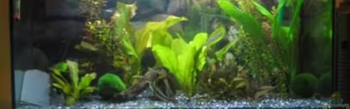 Becken 8690 von Ingo Böddrich