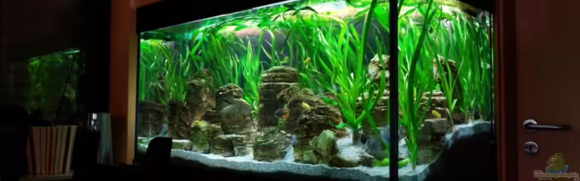 Becken 8737 von Christian Colling