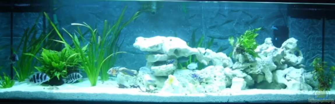 Becken 8753 von Jens Schneider