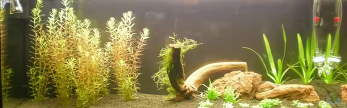 Becken 8792 von emarks