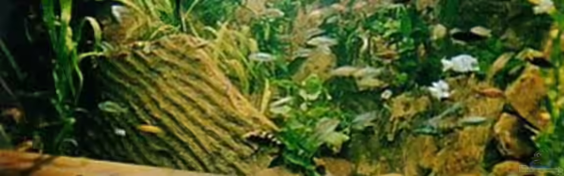 Becken 88 von Martin Fabick