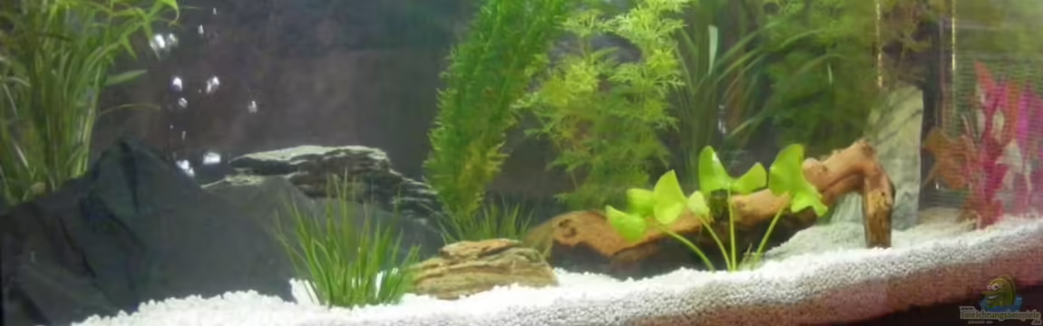 Becken 8857 von Markus Schuch