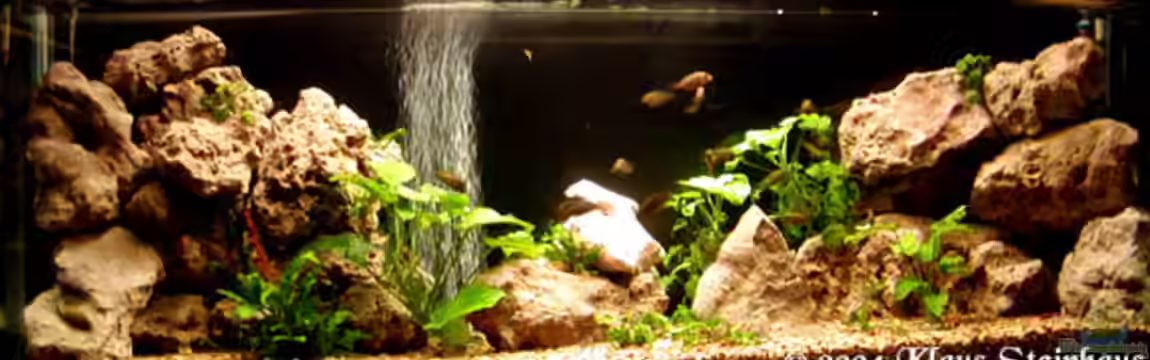 Becken 887 von buntbarsch1948