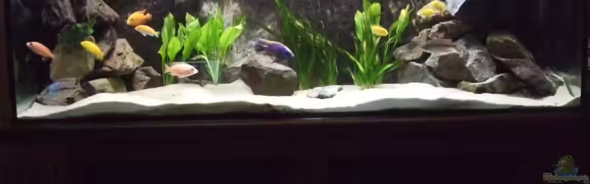 Becken 8879 von Christian Z.