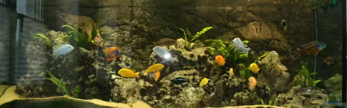 Becken 892 von Rolf Drechsler