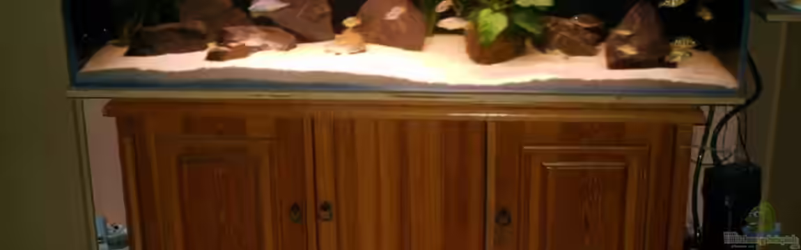 Becken 8929 von Ronny Laumer