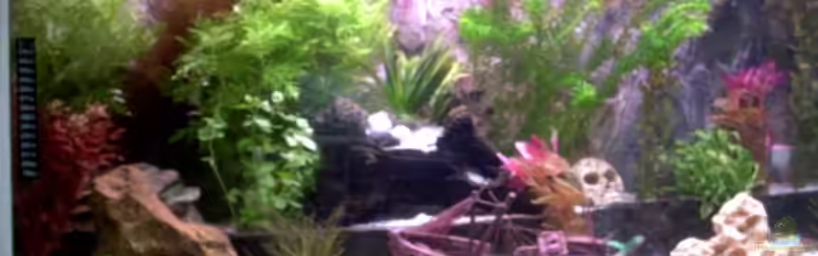 Becken 8945 von Volker Heim