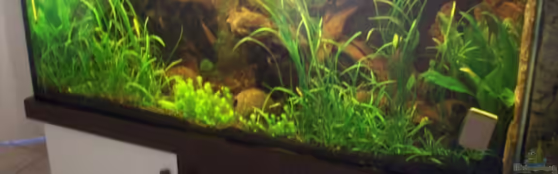 Becken 8969 von Anja Hermes