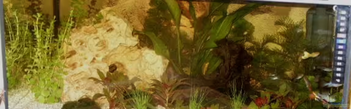 Becken 8995 von Sascha Dannenberg