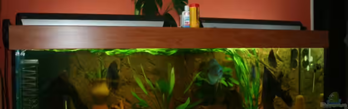 Becken 9064 von Poseidon