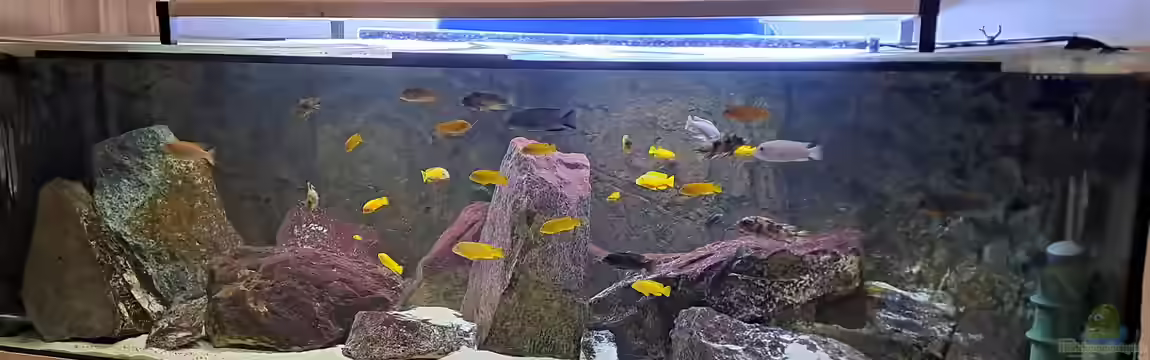 Becken 91 von Simon Delgardo