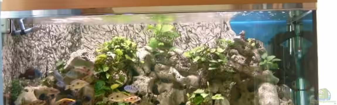 Becken 910 von Josef Knauer