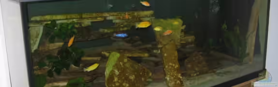 Becken 9143 von Dennis Eick