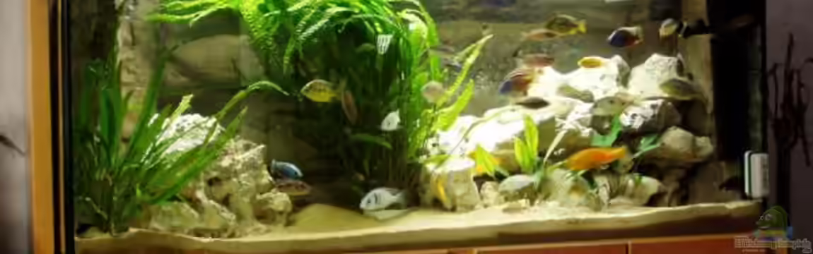 Becken 915 von Sven Busch