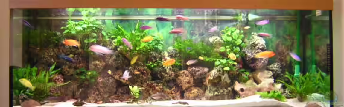 Becken 916 von Kai Plagemann