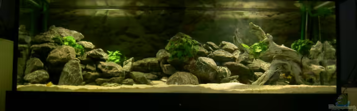 Becken 917 von Florian Ober