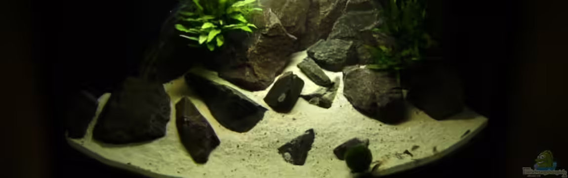 Becken 9187 von xenomorphian