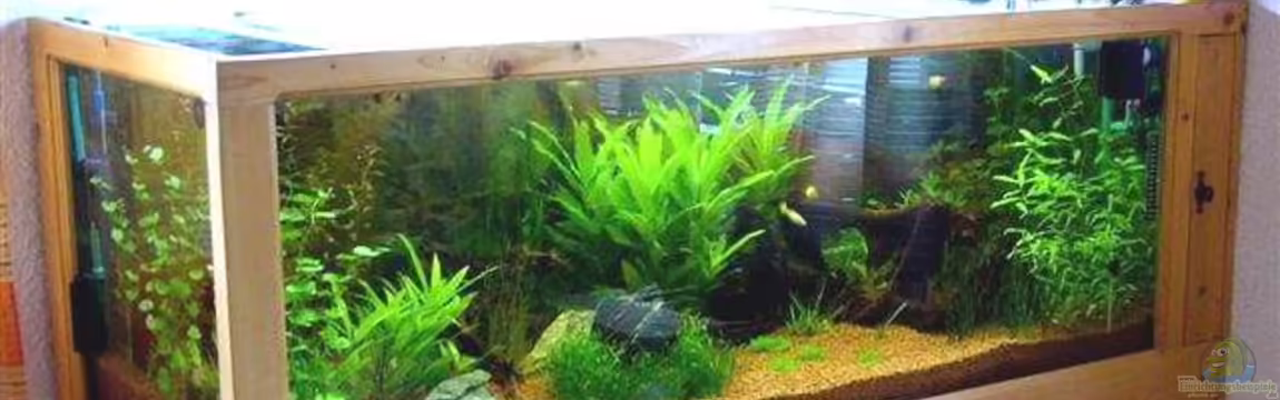 Becken 9211 von Michael Kunig