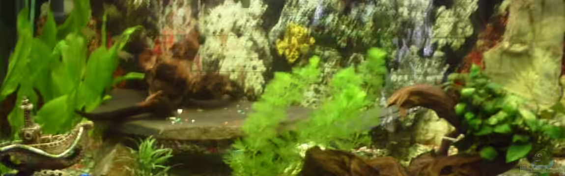 Becken 9238 von valla88