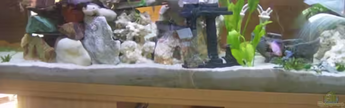 Becken 9274 von Julchen1985