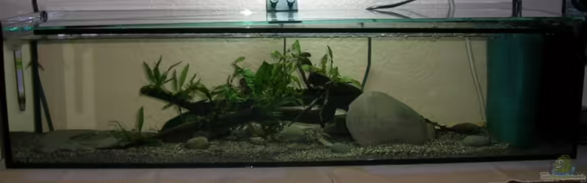 Becken 9276 von Simon Bendrin