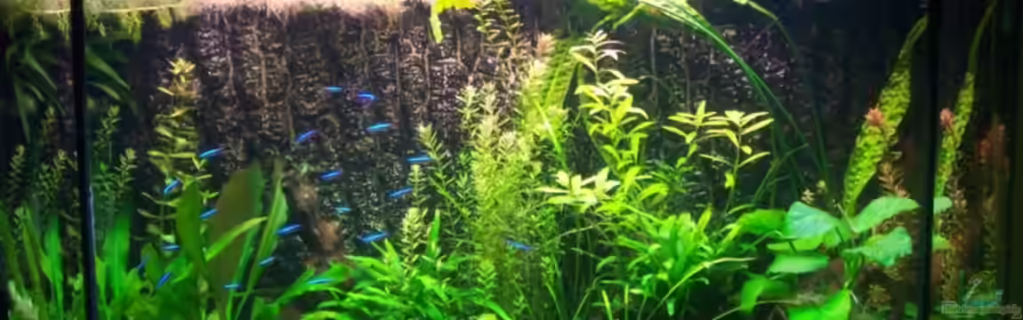 Becken 9280 von Jana_