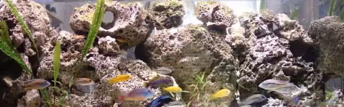 Becken 93 von Frank Maitschke