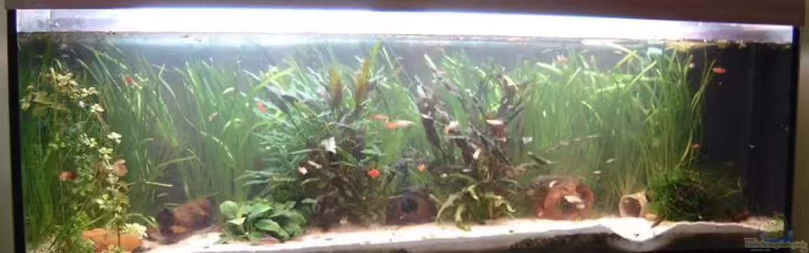 Becken 9301 von RatinaZ