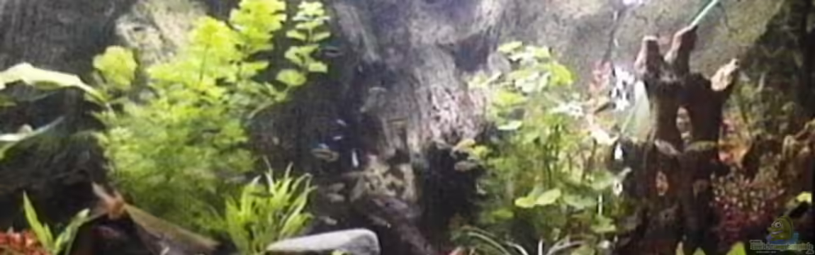 Becken 9347 von Hobytomy