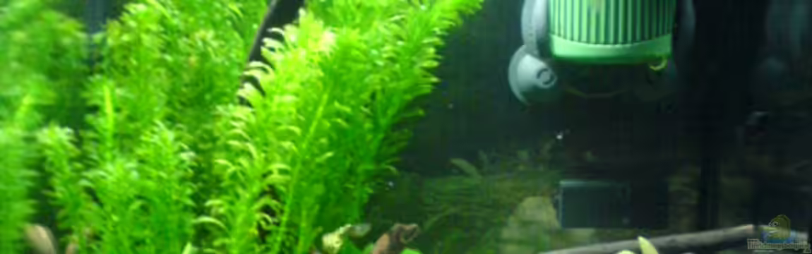 Becken 9350 von Dominik Siefert