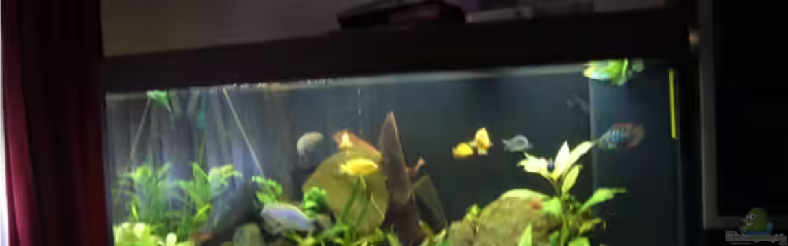 Becken 9354 von robbi850