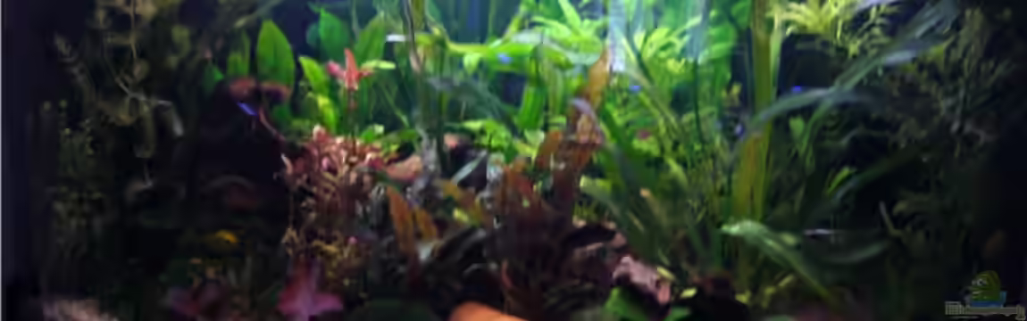 Becken 9357 von robbi850