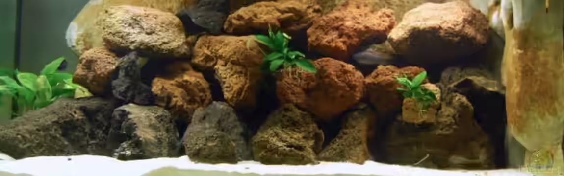 Becken 9378 von Angelundercover