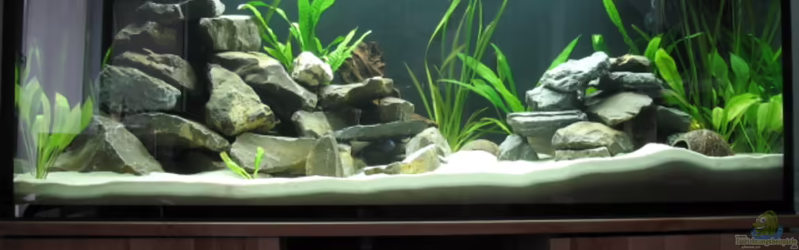 Becken 9398 von Zonk