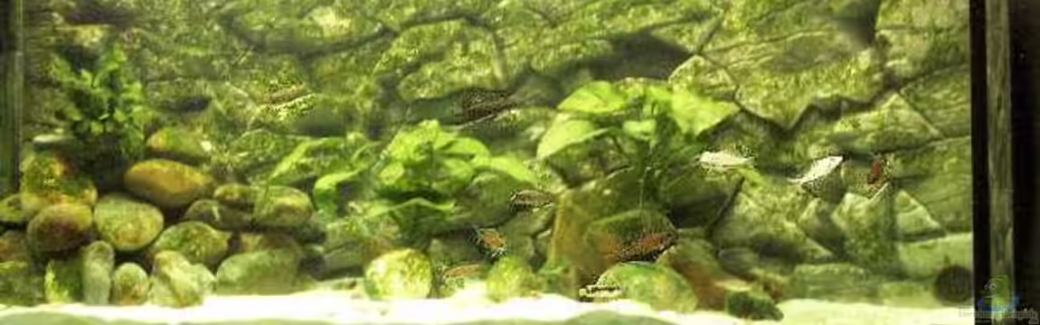 Becken 94 von Vivien Hübenbecker