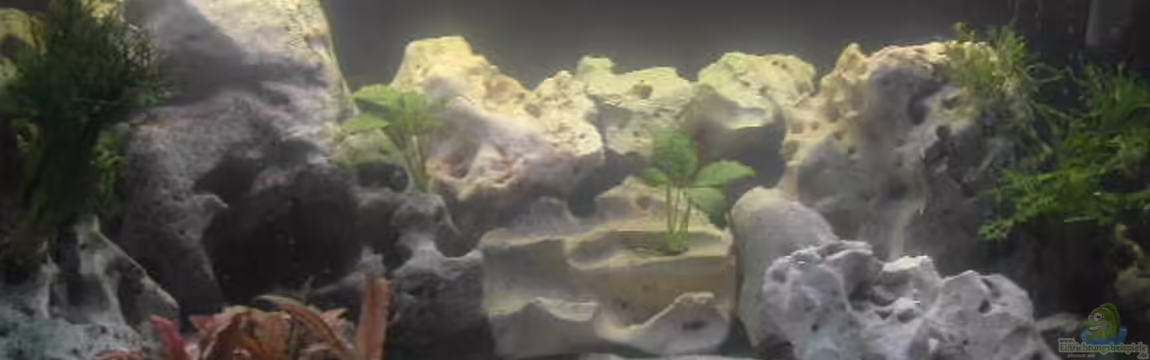 Becken 940 von Hartmut Lauterbach