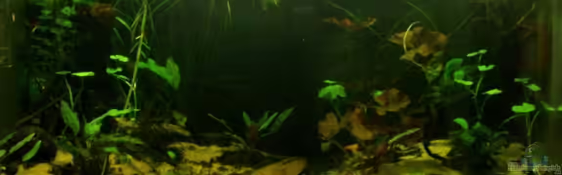 Becken 9411 von aetti