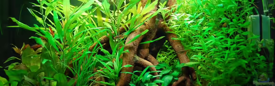 Becken 9416 von Klammi