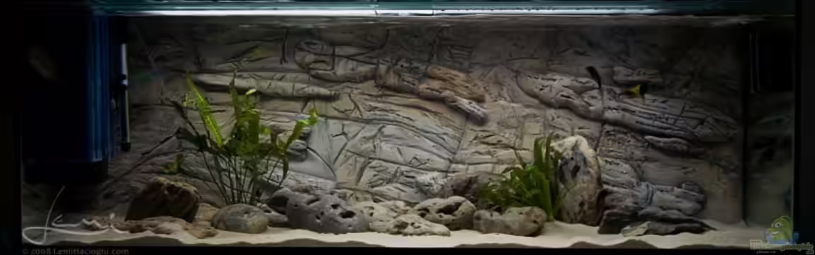 Becken 950 von Lemi66