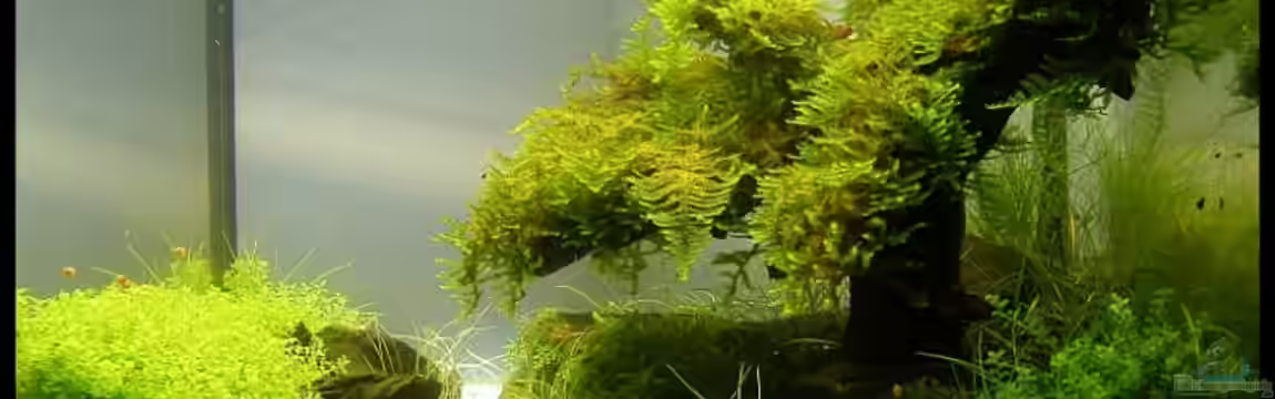 Becken 9614 von Tino Laue