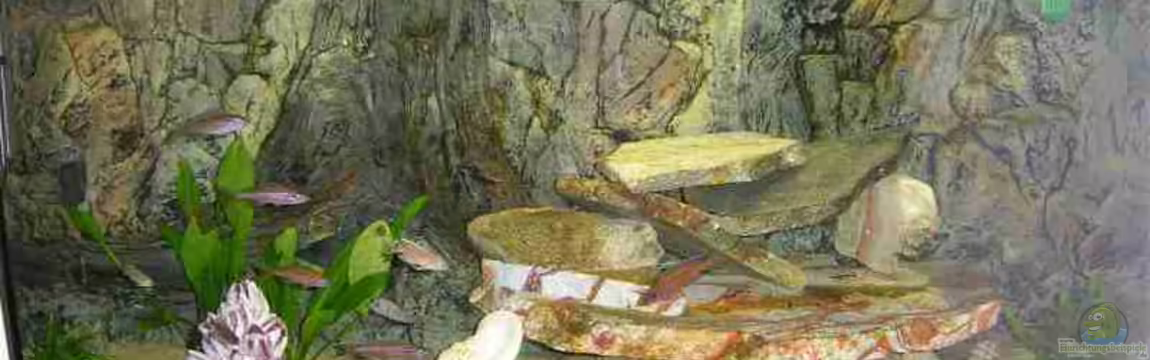 Becken 964 von Saskia Geers