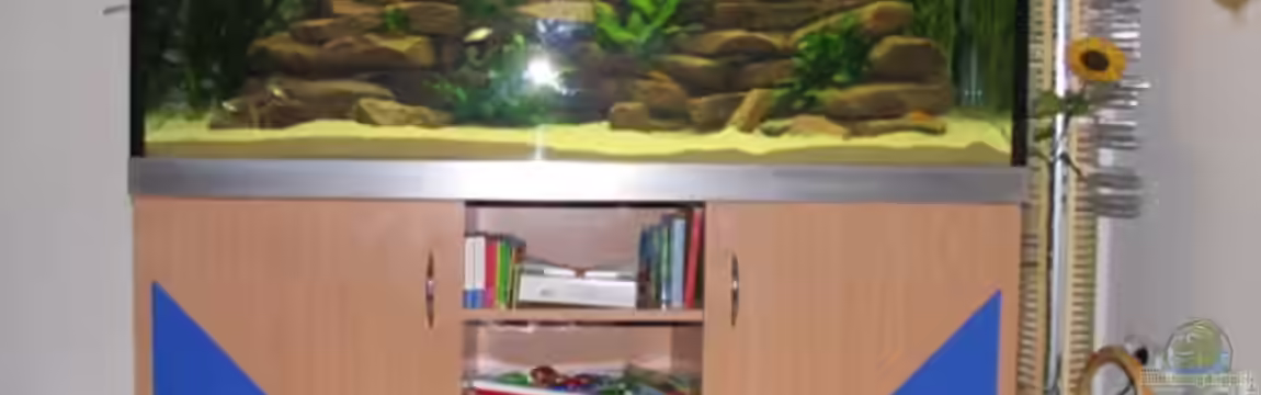 Becken 969 von Jochen Böhm