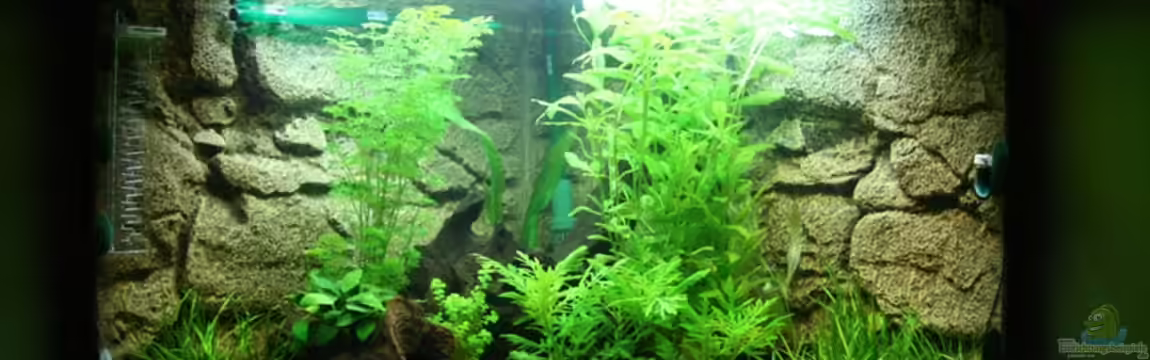 Becken 9699 von AkGuru