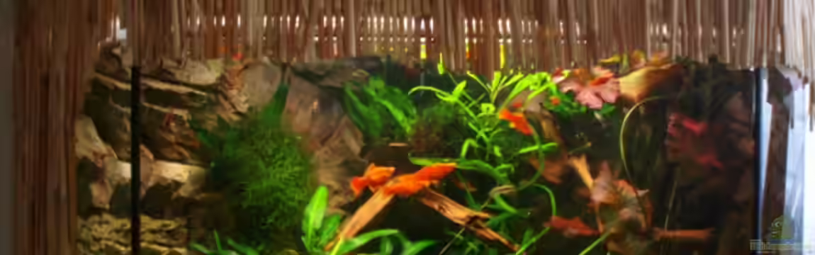 Becken 9721 von Peggy Findeisen