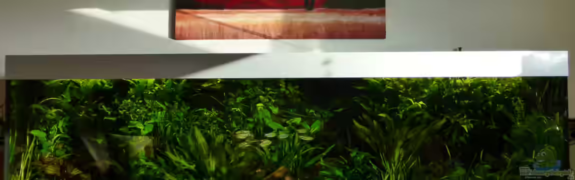 Becken 9749 (nur noch als Beispiel) von Blackwater