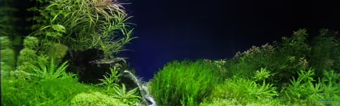 Becken 9788 von Michael Schwendinger